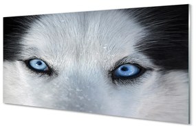 Akrilkép farkas szemet 120x60 cm