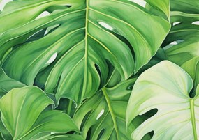 Poszter 29,7x21cm A levelek titkai