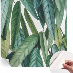 Design fali fotótapéta öntapadós natúr levelek 250x250 cm