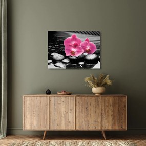 Üveg kép - Rózsaszín orchideák (70x50 cm)