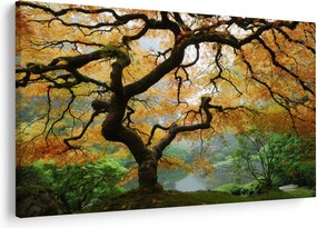Egy sárga japán juhar képe, Portland, Oregon (90x60 cm)