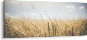 A gabona képe (120x50 cm)