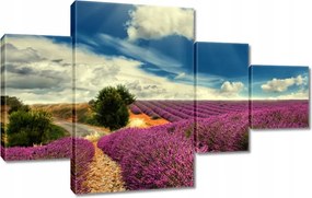 Vászonkép 130x80 Levendulamező