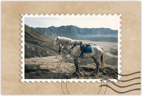 Poszterek 90x60 Lótúrák a hegyekbe