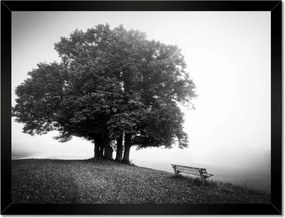 Poszterek keretben 40x30 Tájkép szürke Bw