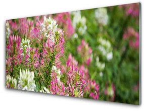 Üvegkép Virág Vadvirágok Mező Természet 100x50 cm