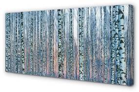 Canvas képek Nyírfa erdő naplemente 100x50 cm