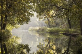 Poszter 86,4x56,8cm Basingstoke csatorna 3, Assaf Frank