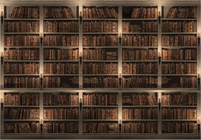 Tapéta Könyvtár Polcok Vinyl könyvek 416x290 olvasóterembe +ragasztó