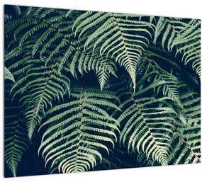 A páfrány levelek képe (70x50 cm)