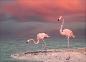 Flamingók képe (70x50 cm)