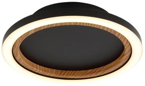 Globo 67356D - LED mennyezeti lámpa DAKARI I LED/12W/230V 3000K átm. 20,5 cm