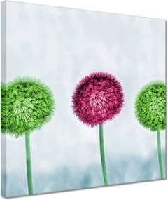 Vászonkép 30x30 Színes pitypangok