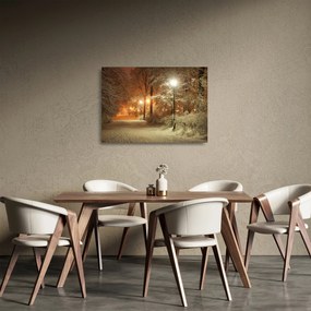 Kép - havas park (üvegen) (70x50 cm)