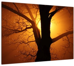 Kép egy fáról naplementekor (üvegen) (70x50 cm)