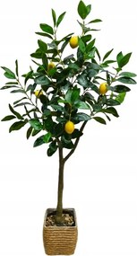 Műnövény Citromfa Homla 115 cm