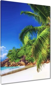 Vászonkép 70x100 Trópusok Tájkép Pálmafák