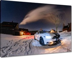 Vászonkép 70x50 Fehér Ford Mustang télen