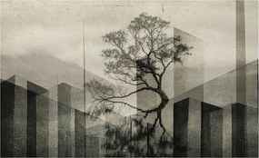 Fotótapéta Flizelin Design Divatos Nyers elegancia 416x254 Ragasztó