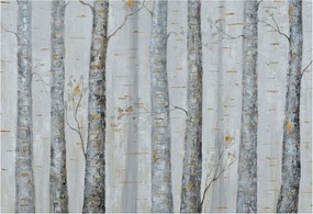 Dekoratív fotótapéta falra Könnyű összeszerelés Nyírfa 152x104 Ragasztó