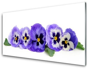 Modern üvegkép Virágszirmok Pansies 100x50 cm 4 fogas