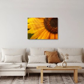 Üveg kép - Napraforgók (70x50 cm)