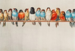 Fotótapéta Flizelin Dekoratív tapéta Madarak az ágon 152x104 Ragasztó