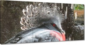 Vászonkép 180x90 Színes madár