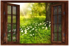 Poszterek 120x80 Sugár a réten