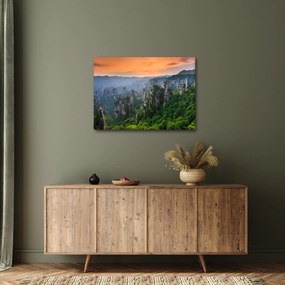 Kép - Zhangjiajie Nemzeti Erdei Park (70x50 cm)