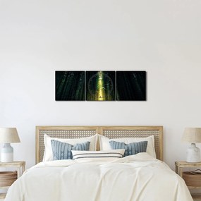 Sötét erdő képe (órával) (90x30 cm)