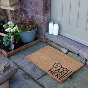 Kókuszrost lábtörlő 40x60 cm You Are Here – Artsy Doormats