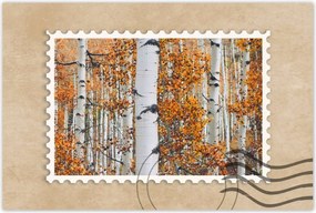 Poszterek 60x40 Őszi táj Nyírfa