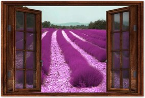 Poszterek 90x60 Levendulamező