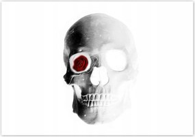 Poszterek 100x70 Koponya rózsával Rózsa