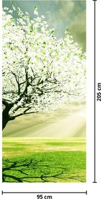 Fotótapéta ajtóra - Fa a réten (95x205cm)