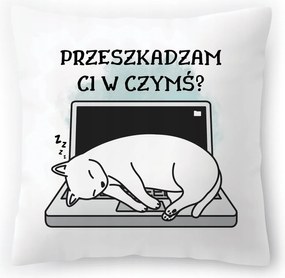 Cica párna Cicák Születésnapi Ajándék Nyomtatott Fotóval