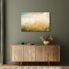 Kép - Mező ősszel (90x60 cm)