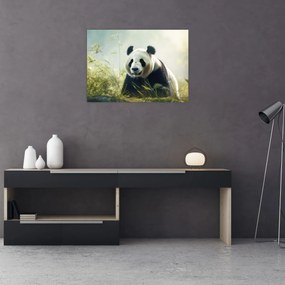 Üveg kép - Panda (70x50 cm)