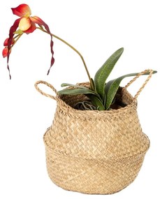 Világos tengerifű tárolókosár, ⌀ 27 cm - Compactor