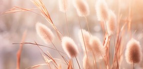 Poszter 91,3x44,5cm Napvirágok