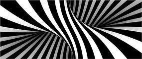 Absztrakt kép zebra csíkokkal (120x50 cm)