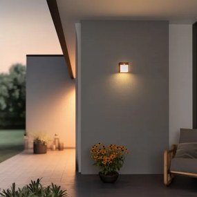 Brilagi-LED kültéri fali lámpa szenzorral TERNI LED/12W/230V antracit IP44