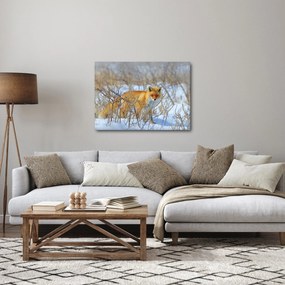 Kép - Róka (70x50 cm)