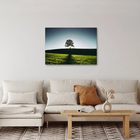Természet kép - fa (70x50 cm)