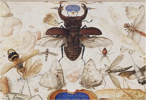 Fali fotótapéta előszoba konyhába Természetes harmónia 152x104 Ragasztó