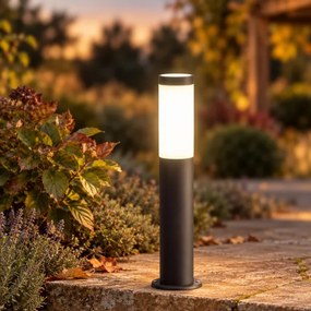 BRILAGI-LED dimmelhető kültéri lámpa ELIA 1xE27/6W/230V 2700-6500K IP44 50 cm antracit