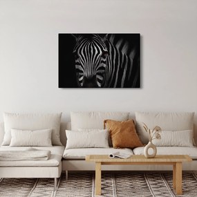 Zebra képe (90x60 cm)