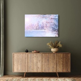 Kép - Fagyos tél (90x60 cm)