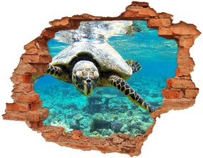 Fali matrica lyuk a falban Tengeri teknős nd-c-83762438